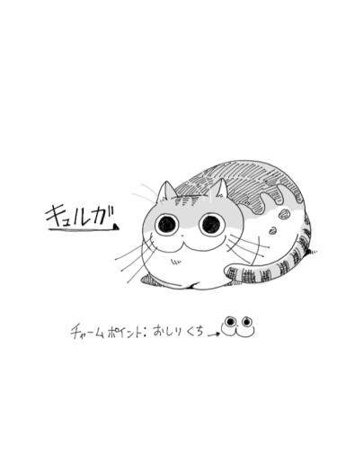 Вечерами с котиком