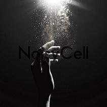 NoisyCell