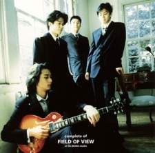 Field of View